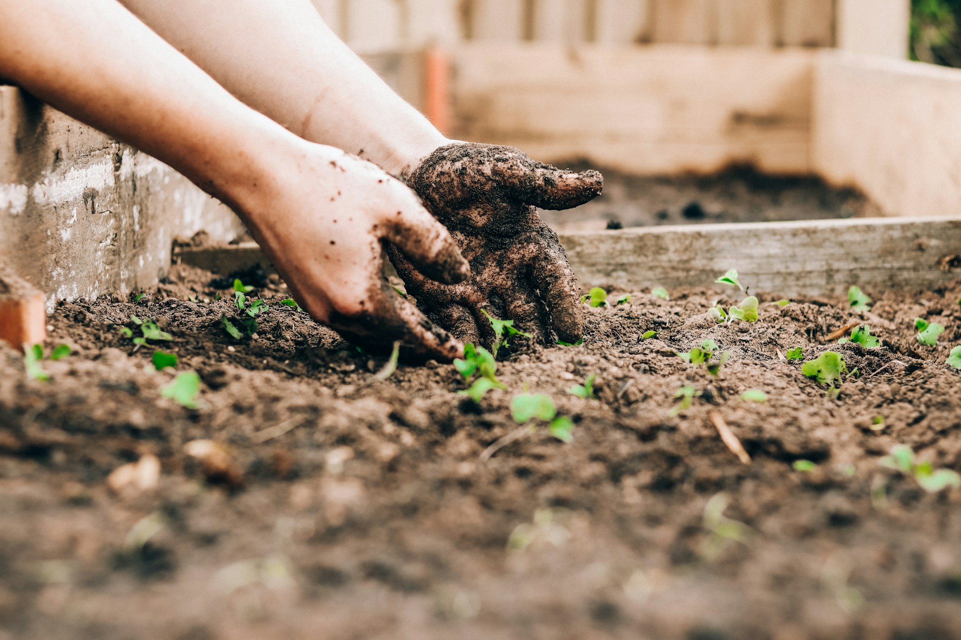 Shot of two hands digging in soil